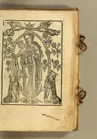 An illustration from Arte en lengua zapoteca, (1578)
