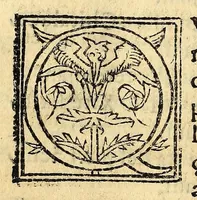 An illustration from Arte en lengua zapoteca, (1578)