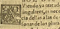 An illustration from Arte en lengua zapoteca, (1578)