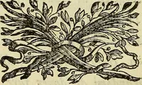 An illustration from Arte magica dileguata (1749)