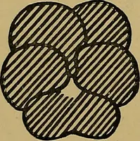 An illustration from Art embroidery: a treatise on the revived practice of decorative needlework (1878)