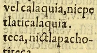 An illustration from Arte mexicana (1595)