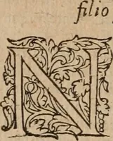 Picture 22 of 28 from Artemidori Daldiani & Achmetis Sereimi f. Oneirocritica (1603), leaf 267