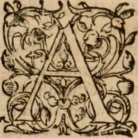 Picture 23 of 28 from Artemidori Daldiani & Achmetis Sereimi f. Oneirocritica (1603), leaf 330