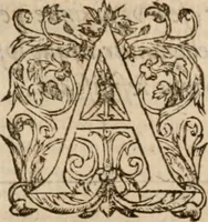 Picture 26 of 28 from Artemidori Daldiani & Achmetis Sereimi f. Oneirocritica (1603), leaf 398