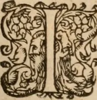 An illustration from Artemidori Daldiani & Achmetis Sereimi f. Oneirocritica (1603)