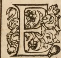 An illustration from Artemidori Daldiani & Achmetis Sereimi f. Oneirocritica (1603)