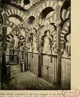 Picture 12 of 21 from Art and environment (1914), leaf 214