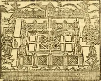 An illustration from The arte of gardening, whereunto is added much necessarie matter, with a number of secrets: and the phisicke helps belonging to each hearb, which are easily prepared. Heer-vnto is annexed two proper treatises, the first intituled The meruailous gouerment, propertie, & benefite of bees, with the rare secrets of the honie and waxe: the other, The yearly coniectures, verie necessary for husband-men. To these is likewise joyned a Treatise of the arte of graffing and planting of trees (1608)