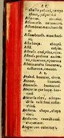 An illustration from Arte, y vocabulario en la lengua general del Peru llamada Quichua, y en la lengua Española (1614)