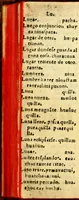 An illustration from Arte, y vocabulario en la lengua general del Peru llamada Quichua, y en la lengua Española (1614)