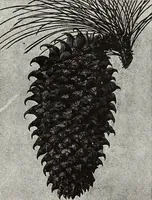 An illustration from Art and handicraft in the Woman's Building of the World's Columbian Exposition, Chicago, 1893 (1894)