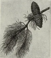 An illustration from Art and handicraft in the Woman's Building of the World's Columbian Exposition, Chicago, 1893 (1894)