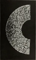 Picture 151 of 208 from Art and handicraft in the Woman's Building of the World's Columbian Exposition, Chicago, 1893 (1894), leaf 224