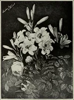 An illustration from Art and handicraft in the Woman's Building of the World's Columbian Exposition, Chicago, 1893 (1894)