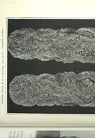 Picture 56 of 57 from Art and handicraft in the Woman's Building of the World's Columbian Exposition, Chicago, 1893 (1893), leaf 311