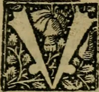An illustration from Articella nuperrime impressa cu[m] q[uam]plurimis tractatib[us] pristine impressioni superadditis .. (1519)