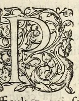 An illustration from Articles, resolus et accordez à Nerac, en la conference de la royne mere du roy, assistee d'aucuns princes & seigneurs du Conseil priué du roy : auec le roy de Nauarre aussi assisté d'autres seigneurs & gentils hommes, & des deputez de ceux de la religion pretenduë reformée. (1581)
