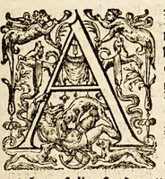 An illustration from Articulen, met approbatie vande Ho: Mog: Heeren Staten Generael der Vereenichde Nederlanden, : provisioneelijc beraemt by bewinthebberen van de generale geoctroyeerde West-Indische Compagnie, ter vergaderinge vande negenthiene, over het open ende vry stellen vanden handel ende negotie op de stadt Olinda de Parnambuco, ende custen van Brazil. Hier zijn achter by ghedruckt de Vryheden van Nieu-Nederlant (1631)
