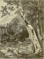 Picture 22 of 52 from Art in America; a critical and historical sketch (1880), leaf 66
