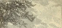 Picture 26 of 52 from Art in America; a critical and historical sketch (1880), leaf 75