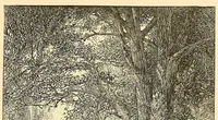 An illustration from Art in America; a critical and historical sketch (1880)
