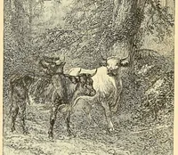 Picture 33 of 52 from Art in America; a critical and historical sketch (1880), leaf 82