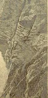 An illustration from Art in America : a critical and historical sketch (1880)