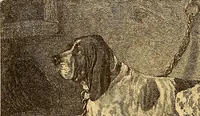 An illustration from Art in America : a critical and historical sketch (1880)