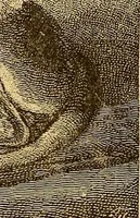 An illustration from Art in America : a critical and historical sketch (1880)