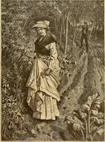 An illustration from Art in America : a critical and historical sketch (1880)
