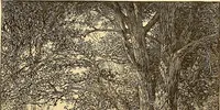 An illustration from Art in America : a critical and historical sketch (1880)