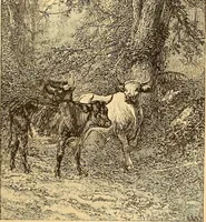 An illustration from Art in America : a critical and historical sketch (1880)
