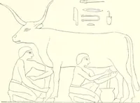 Picture 30 of 220 from A history of art in ancient Egypt (1883), leaf 124