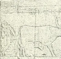 An illustration from A history of art in ancient Egypt (1883)