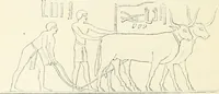 Picture 4 of 220 from A history of art in ancient Egypt (1883), leaf 89