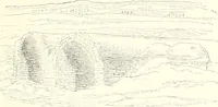 An illustration from A history of art in ancient Egypt (1883)