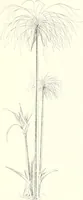 Picture 74 of 263 from A history of art in ancient Egypt (1883), leaf 148
