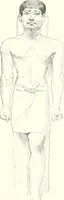 An illustration from A history of art in ancient Egypt (1883)