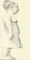 An illustration from A history of art in ancient Egypt (1883)