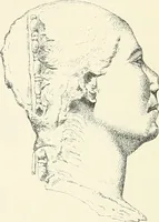 An illustration from A history of art in ancient Egypt (1883)