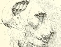 An illustration from A history of art in ancient Egypt (1883)