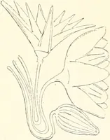 Picture 215 of 263 from A history of art in ancient Egypt (1883), leaf 390