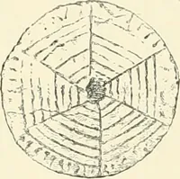 An illustration from A history of art in ancient Egypt (1883)