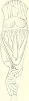 Picture 258 of 263 from A history of art in ancient Egypt (1883), leaf 430