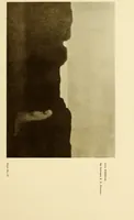An illustration from Art in California : a survey of American art with special reference to Californian painting, sculpture and architecture past and present, particularly as those arts were represented at the Panama-Pacific International Exposition : being essays and articles by the following contributors (1916)