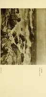 An illustration from Art in California : a survey of American art with special reference to Californian painting, sculpture and architecture past and present, particularly as those arts were represented at the Panama-Pacific International Exposition : being essays and articles by the following contributors (1916)