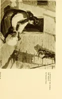 An illustration from Art in California : a survey of American art with special reference to Californian painting, sculpture and architecture past and present, particularly as those arts were represented at the Panama-Pacific International Exposition : being essays and articles by the following contributors (1916)