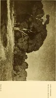 An illustration from Art in California : a survey of American art with special reference to Californian painting, sculpture and architecture past and present, particularly as those arts were represented at the Panama-Pacific International Exposition : being essays and articles by the following contributors (1916)