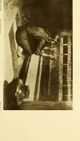 An illustration from Art in California : a survey of American art with special reference to Californian painting, sculpture and architecture past and present, particularly as those arts were represented at the Panama-Pacific International Exposition : being essays and articles by the following contributors (1916)
